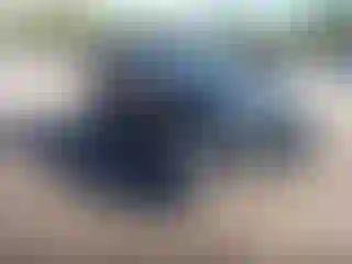 Vehicle Image- 2007 Jeep Wrangler