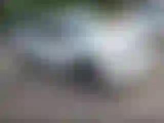 Vehicle Image- 2009 Jeep Patriot