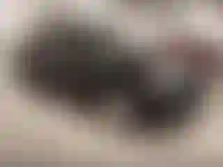 Vehicle Image- 2008 Jeep Compass