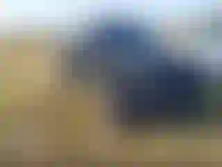 Vehicle Image- 2008 Jeep Wrangler