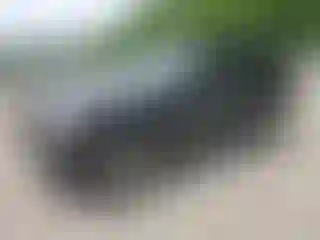 Vehicle Image- 2007 Jeep Grand Cherokee