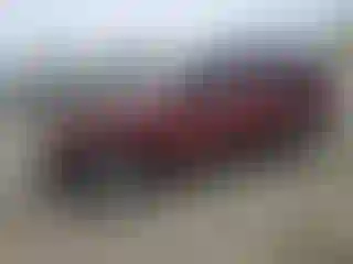 Vehicle Image- 2008 Jeep Grand Cherokee
