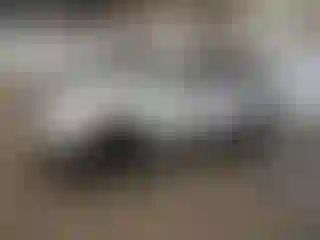 Vehicle Image- 2008 Jeep Grand Cherokee