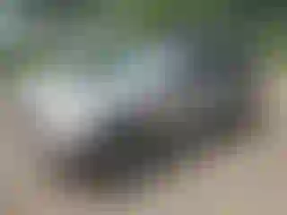 Vehicle Image- 2002 Jeep Grand Cherokee