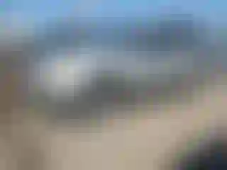 Vehicle Image- 2008 Jeep Grand Cherokee