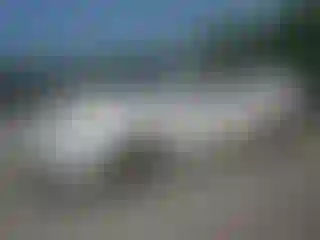Vehicle Image- 2010 Lincoln MKS