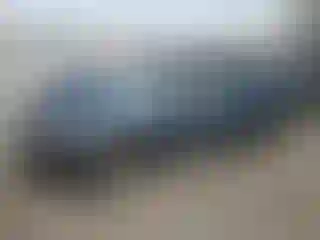 Vehicle Image- 2010 Lincoln MKS