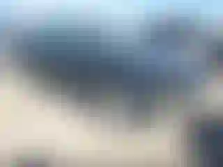 Vehicle Image- 2010 Lincoln MKS