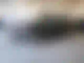 Vehicle Image- 2014 Lincoln MKS