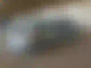 Vehicle Image- 2015 Lincoln MKS