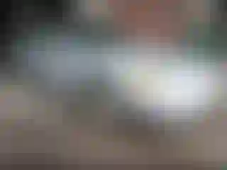 Vehicle Image- 2002 Lincoln Town Car