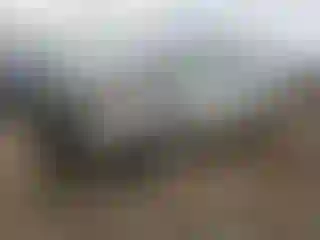 Vehicle Image- 2004 Lincoln Town Car