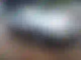 Vehicle Image- 2004 Lincoln Town Car