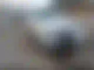 Vehicle Image- 2002 Lincoln Town Car