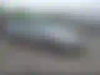 Vehicle Image- 2003 Lincoln Town Car