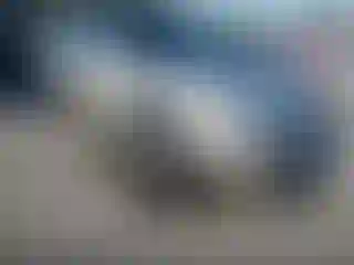 Vehicle Image- 2005 Lincoln Town Car