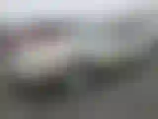 Vehicle Image- 2005 Lincoln Town Car
