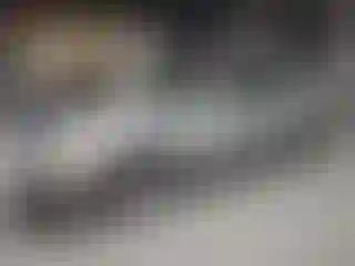 Vehicle Image- 2007 Lincoln Town Car
