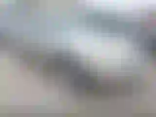 Vehicle Image- 2003 Lincoln Town Car