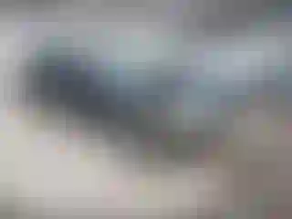 Vehicle Image- 2001 Lincoln Town Car