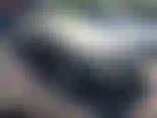Vehicle Image- 2004 Lincoln Town Car
