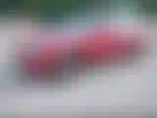 IMPORTOWO.pl
