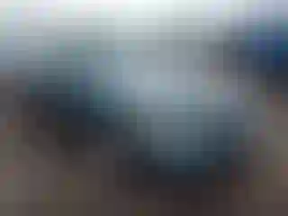 Vehicle Image- 1995 Lincoln Town Car