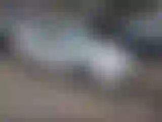 Vehicle Image- 2009 Nissan Maxima