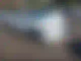 Vehicle Image- 2012 Nissan Maxima