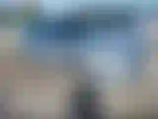 Vehicle Image- 2010 Nissan Maxima