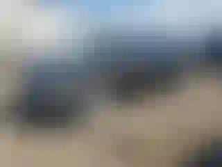 Vehicle Image- 2014 Nissan Maxima