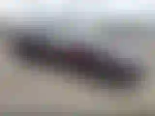 Vehicle Image- 2014 Nissan Maxima