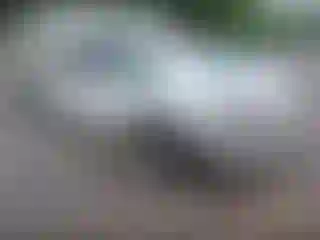 IMPORTOWO.pl