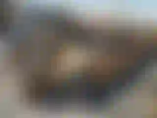 Vehicle Image- 2021 Nissan Maxima