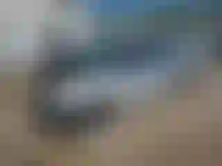 Vehicle Image- 2020 Nissan Maxima