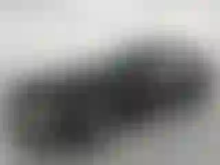 Vehicle Image- 2021 Nissan Maxima
