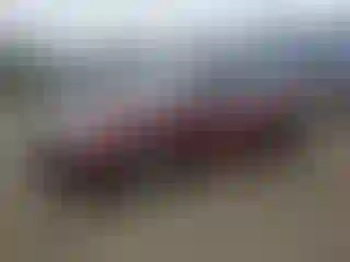 Vehicle Image- 2020 Nissan Maxima