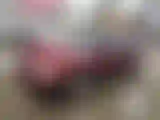 Vehicle Image- 1995 Nissan Sentra