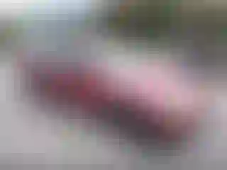Vehicle Image- 1996 Nissan Sentra