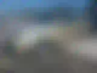 Vehicle Image- 2002 Nissan Altima