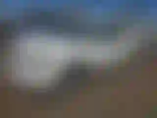 Vehicle Image- 2006 Nissan Altima