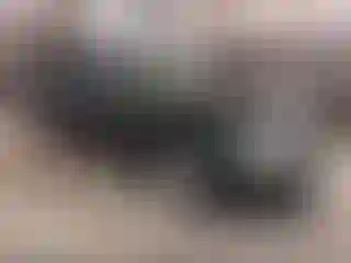Vehicle Image- 2006 Nissan Altima