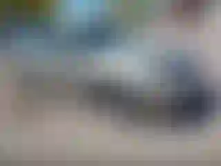 Vehicle Image- 2005 Nissan Altima