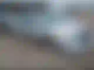 Vehicle Image- 2006 Nissan Altima