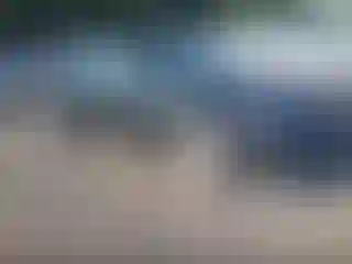 Vehicle Image- 2006 Nissan Altima