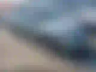 Vehicle Image- 2004 Nissan Altima