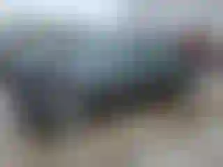 Vehicle Image- 2005 Nissan Altima