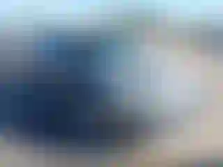 Vehicle Image- 2005 Nissan Altima