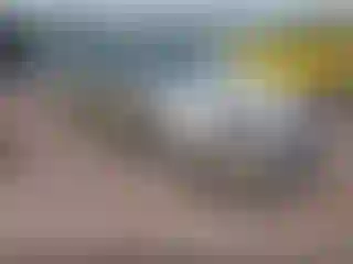 Vehicle Image- 2006 Nissan Altima
