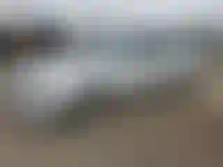 Vehicle Image- 2006 Nissan Altima